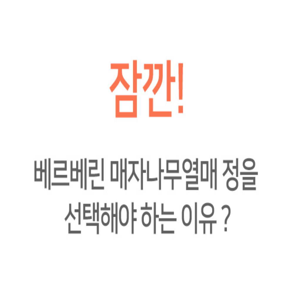 베르베린 여주추출분말 매자나무열매 60정 - 상세 이미지 2