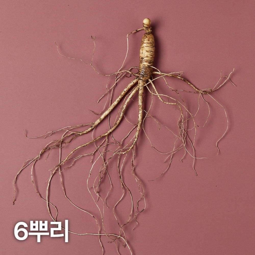 7,8년근 산양산삼 6뿌리 산양삼 장뇌삼