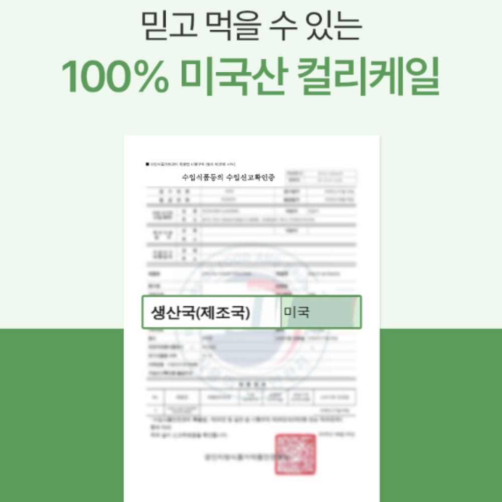 컬러케일 분말 100% 동결건조 콜리 곱슬 컬리 케일 가루 파우더 효능 대용량120G3통 이미지 8