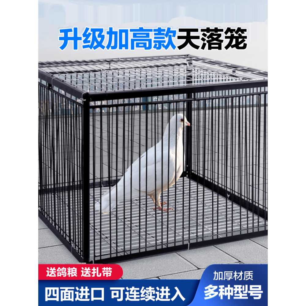유해 조류 포획기 자동문 비둘기 새 잡는 케이지 트랩 60x40x26 - 상세 이미지 2