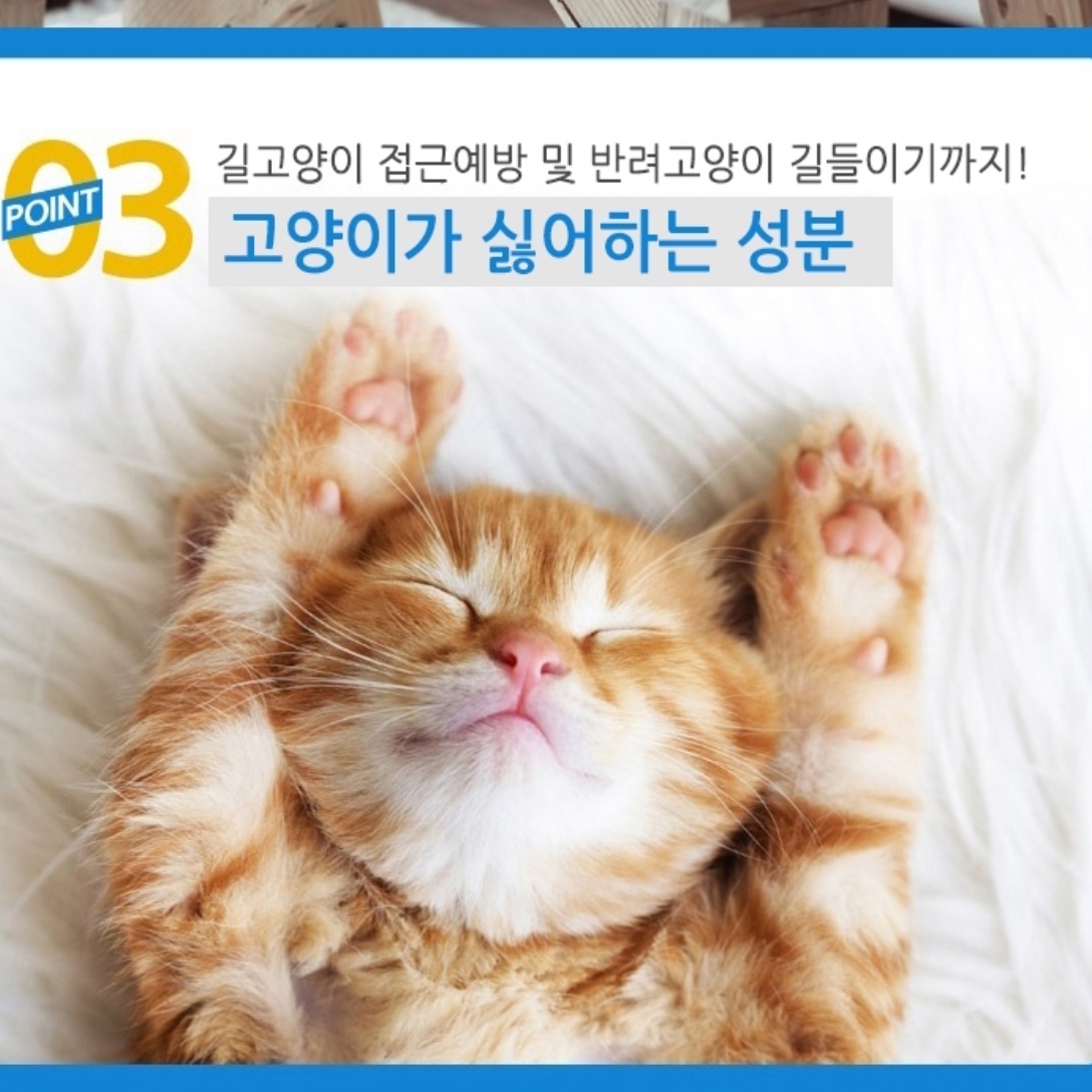 고양이 기피제 스프레이 고양이가싫어하는 냄새 길 고양이 퇴치 법 접근금지 1L 1리터 - 상세 이미지 3