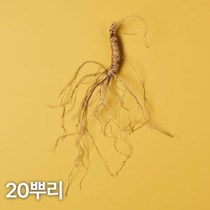 5,6년근 산양산삼 20뿌리 산양삼 장뇌삼 맛있게 먹은 솔직 후기 - 상품 이미지 1