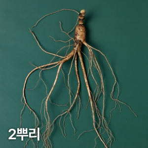 10년근 산양산삼 2뿌리 산양삼 장뇌삼 맛있게 먹은 솔직 후기 - 상품 이미지 1