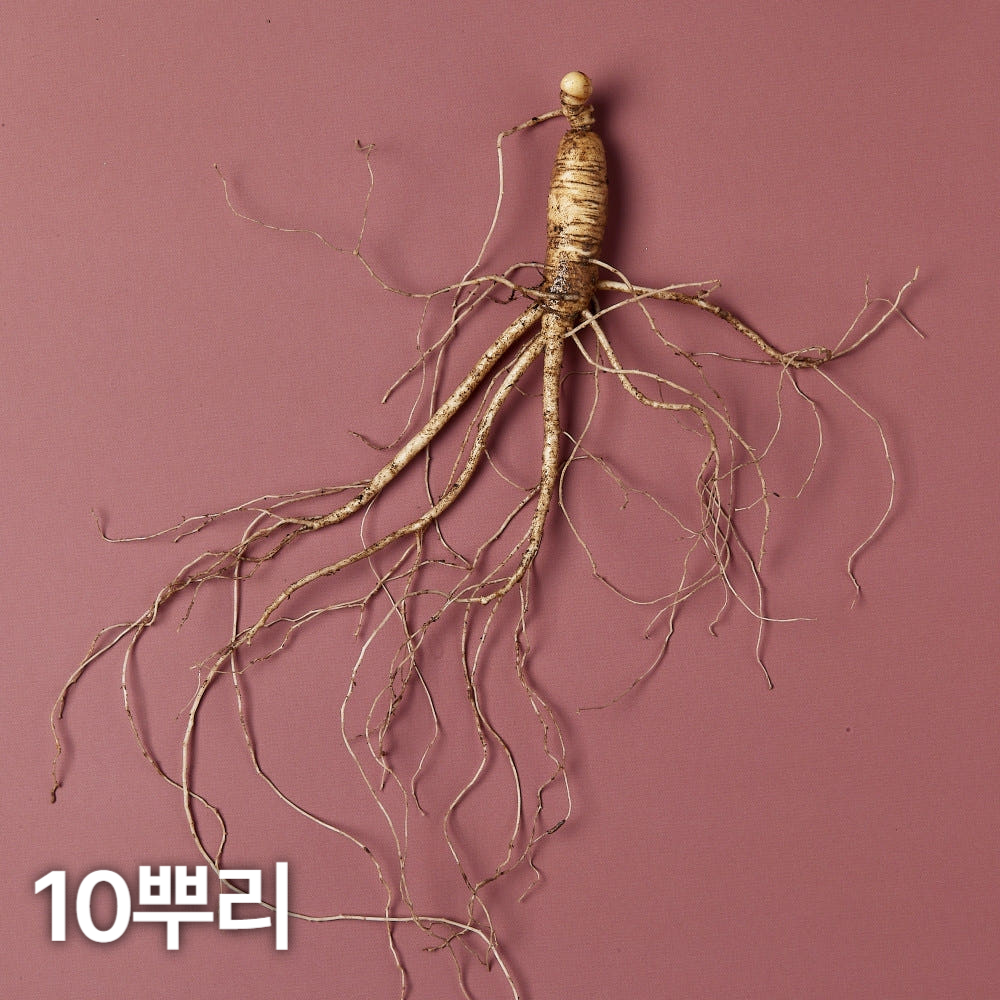7,8년근 산양산삼 10뿌리 산양삼 장뇌삼