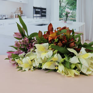 유스풀몰 생화 알스트로메리아 랜덤색상 5송이 꽃배달싼곳 꽃 솔직 후기 | 실사용자 리뷰 분석 - 상품 이미지 2