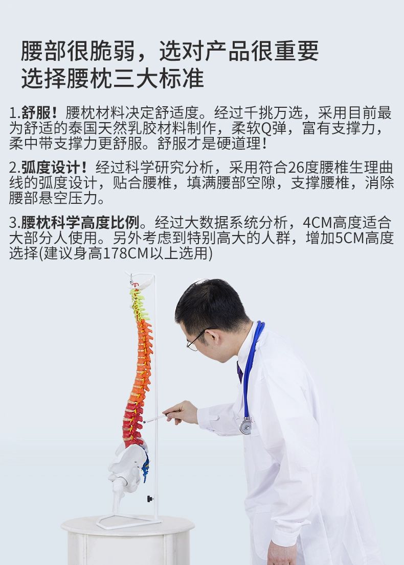 라텍스 요추 베개 반원형 쿠션 메모리 낮은 허리 화이트 60x20X4 - 상세 이미지 4