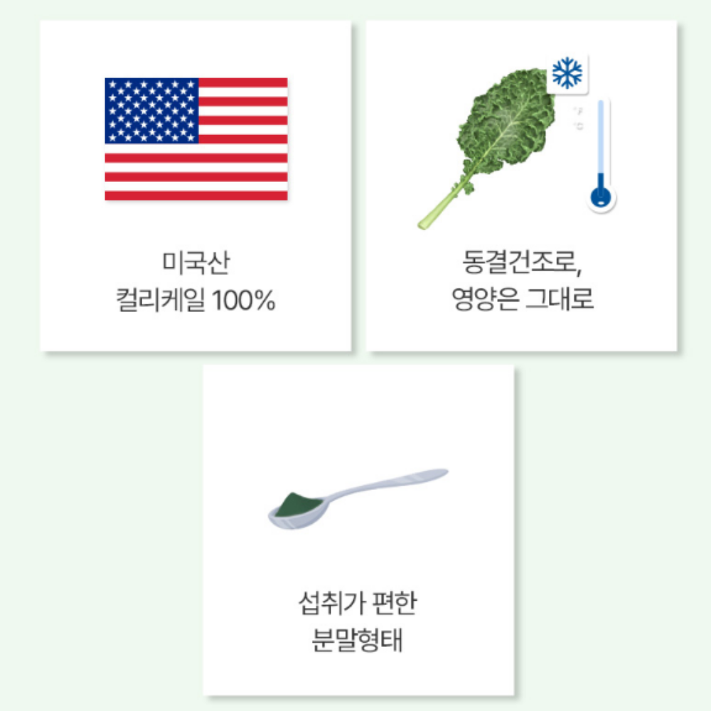 곱슬 컬리 케일 분말 가루 100% 대용량120G2통 파이토케미컬 파우더 마시는샐러드 효능 이미지 8