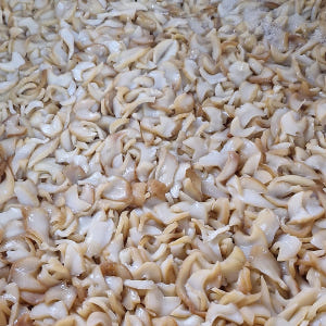 위소라 2.5kg 5kg 슬라이스 냉동 자숙 소라살 위고동 위고둥 업소용... 맛있게 먹은 솔직 후기 - 상품 이미지 2