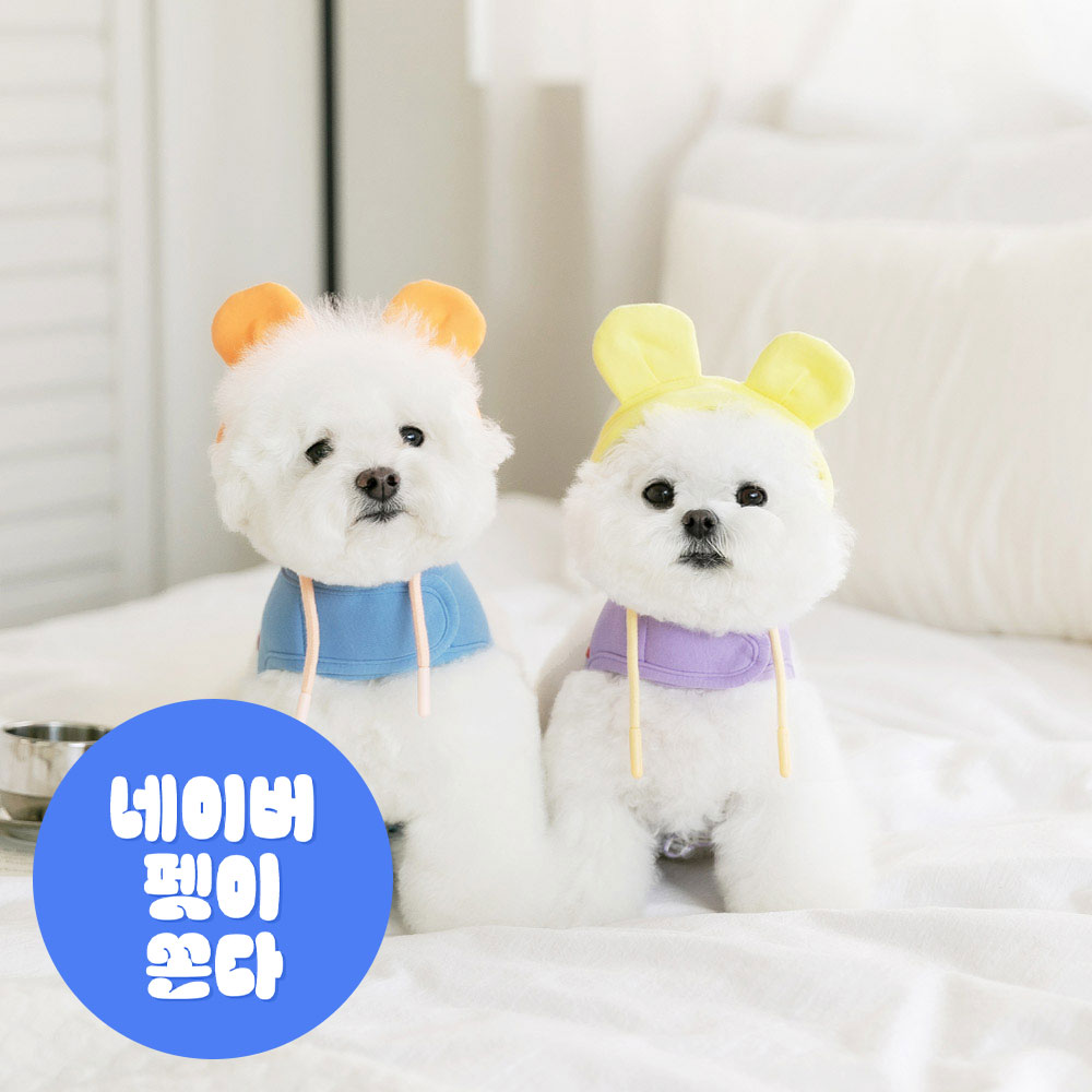 강아지 하네스옷 소형견 하네스 가슴줄 베어후드