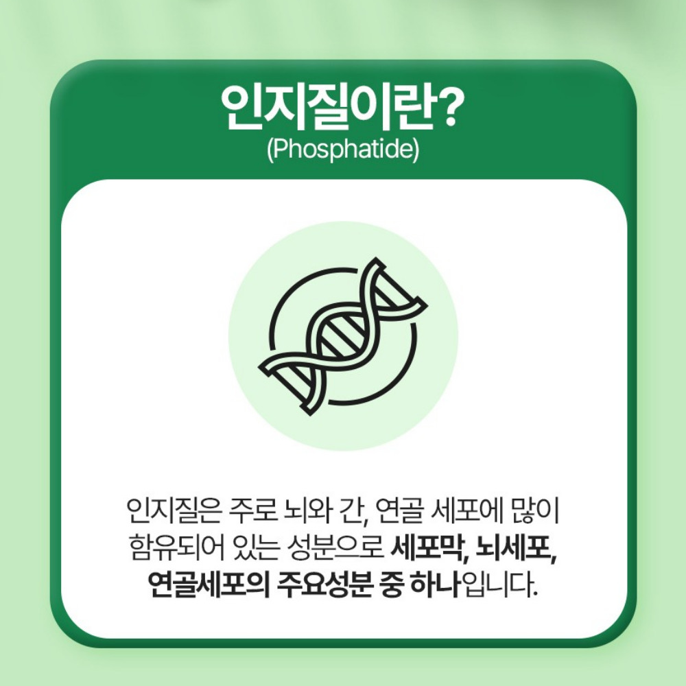 일양약품 프라임 인지질 레시틴 콜레스테롤 포스파티딜콜린 약800mg 60캡슐 이미지 6