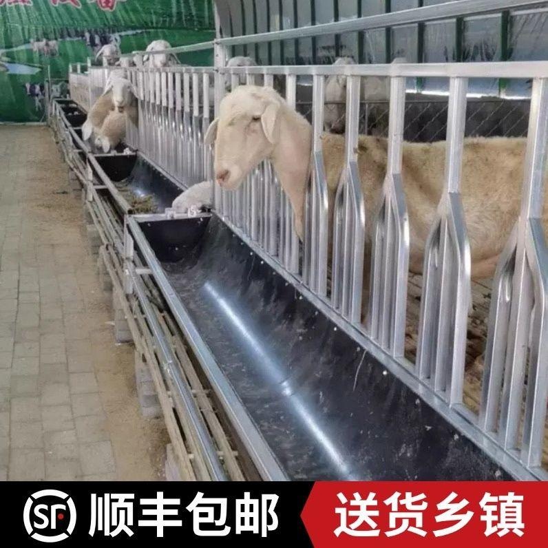 염소 밥통 먹이통 사육 급식기 새끼 닭 먹이 여물통 사료 배식통 - 상세 이미지 5
