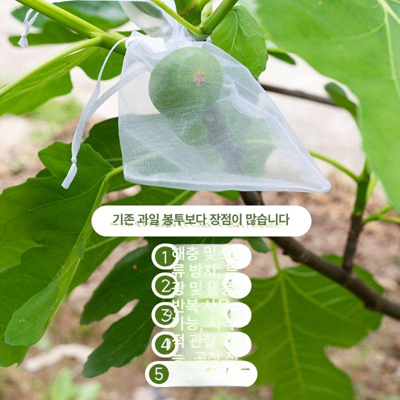 100개 방충방조과수봉지그물망 봉투 주머니 새방충 9x12cm 100개 블루베리 - 상세 이미지 4