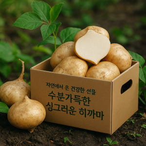 히카마 멕시코감자 얌빈 얌 26년수입 섬유질 혈당조절 변비에좋은 슈퍼푸드... 맛있게 먹은 솔직 후기 - 상품 이미지 1