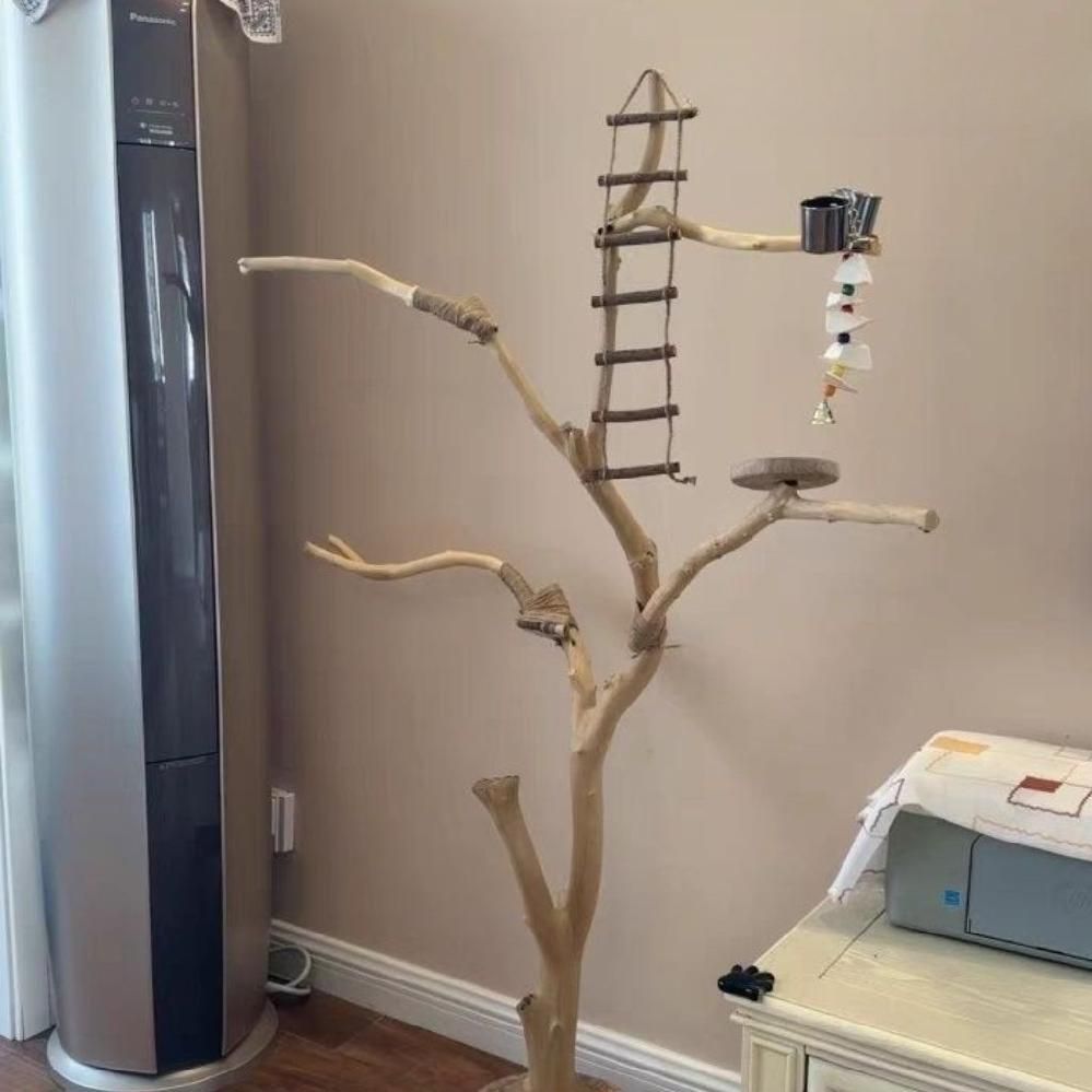 앵무새 스탠드 나무 놀이터 횟대 대형 사다리 나뭇가지 원목 애완조 등반 70cm - 상품 이미지
