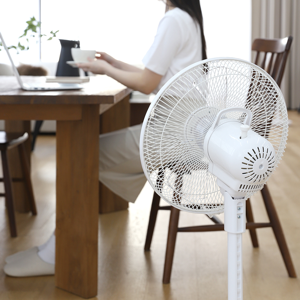 신일선풍기 30cm 거실 스탠드형 기본형 저소음 가정용 선풍기 - 상세 이미지 2