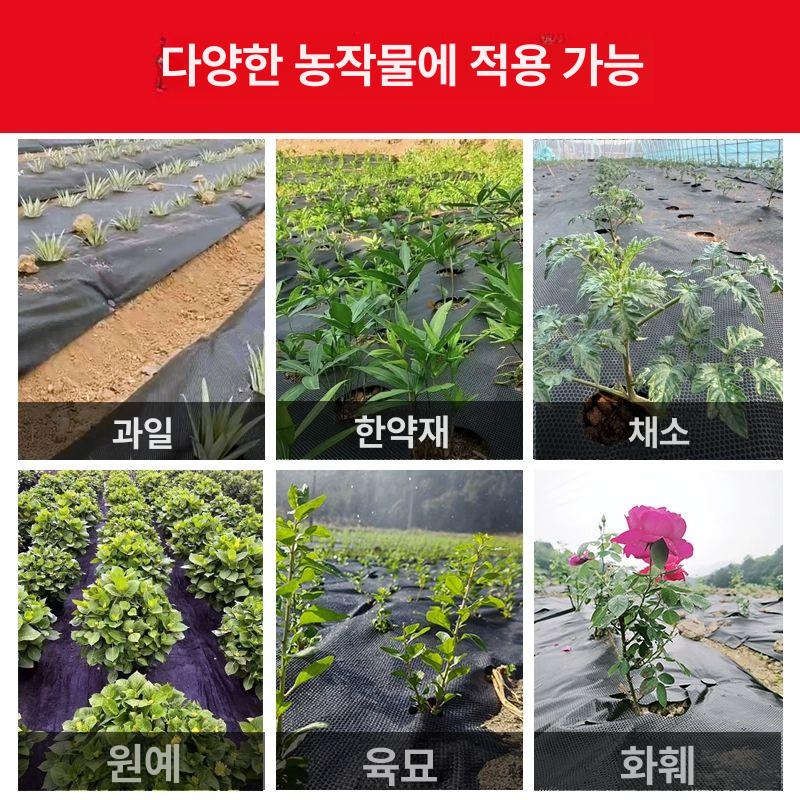 농업용부직포 제초 마늘 멀칭 원예 덮개 구멍 1.2mx100m 3구멍 기타사이즈 A - 상세 이미지 4