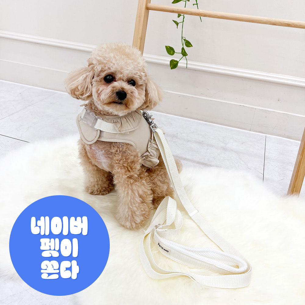 강아지리드줄 강아지산책줄 메쉬핸들리드줄 - 상품 이미지