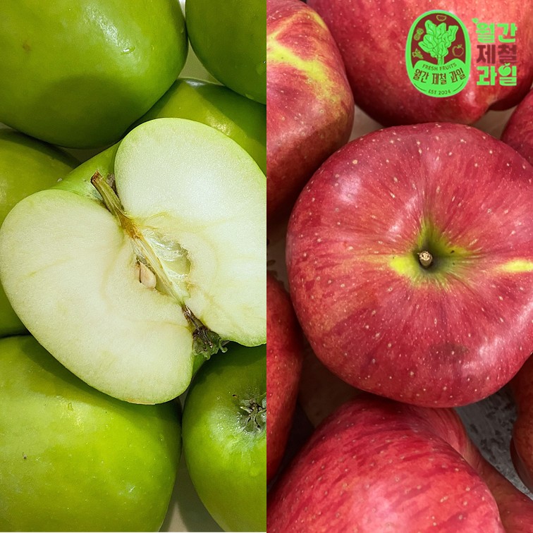 아오리 홍로사과 제철 청사과 루비에스 사과 문경 안동 꿀사과 청송 세척사과