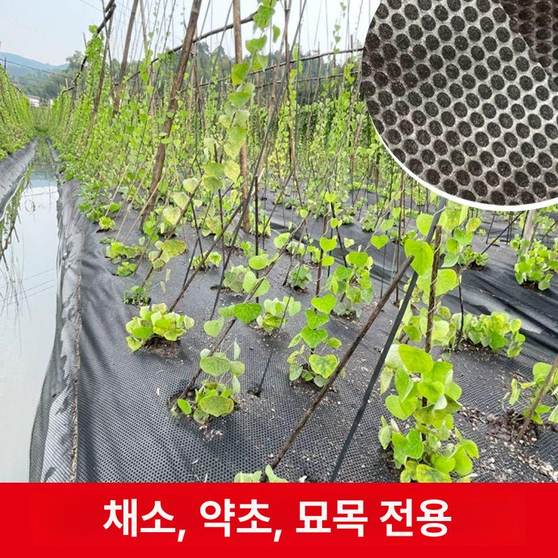 농업용부직포 제초 마늘 멀칭 원예 덮개 구멍 1.2mx100m 3구멍 기타사이즈 A - 상세 이미지 3