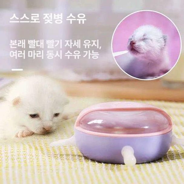 어린 애완동물 젖병 새끼 사용 젖꼭지 모유 이유식 조절 퍼플 추천 0-30일 아기 고양이 사용 - 상세 이미지 2