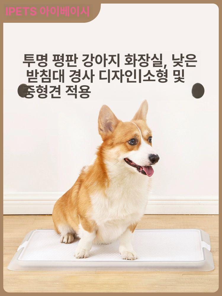 대형견 배변판 초대형 중형견 메쉬 사이즈 투명 애견 S 사이즈 투명형+기저귀 72장 - 상세 이미지 2