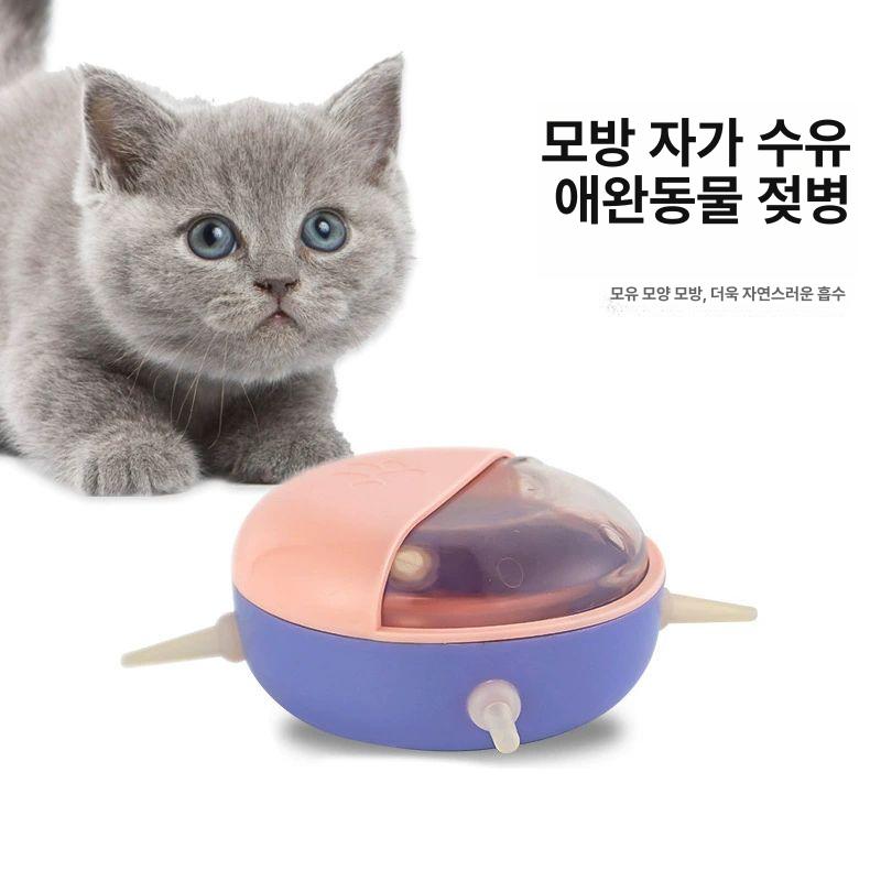 어린 애완동물 젖병 새끼 사용 젖꼭지 모유 이유식 조절 퍼플 추천 0-30일 아기 고양이 사용 - 상세 이미지 5