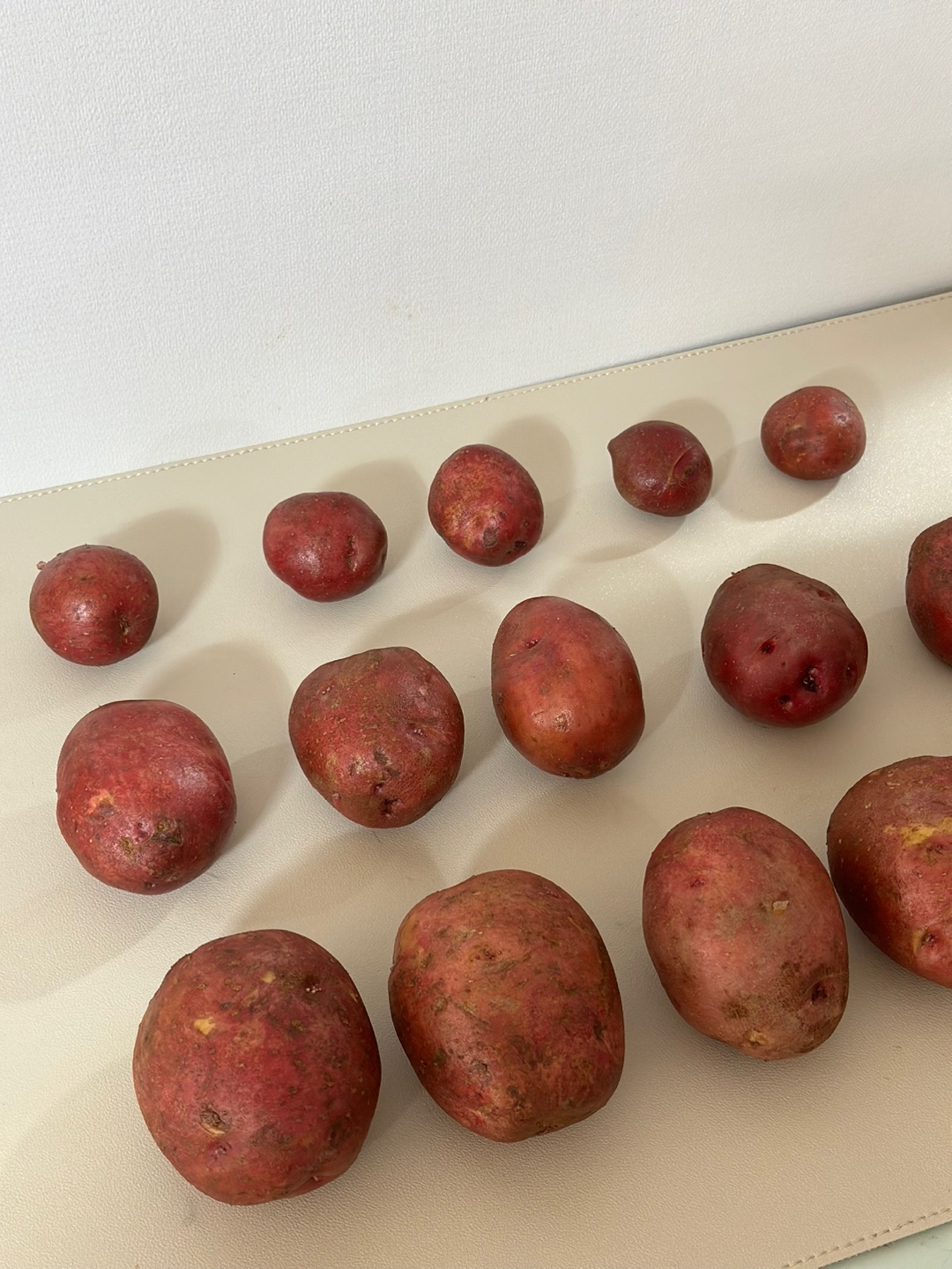 100% 당일수확 햇 홍감자 포슬포슬 쩌먹는 카스테라감자 1.5kg 3kg 5kg 산지직송 이미지 8
