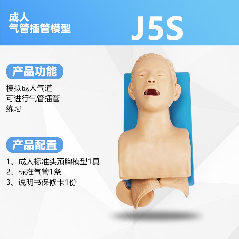 기도 삽관 인형 마네킹 시뮬레이션 연습 교구 훈련 모형 성인 삽관(알람) 백 이미지 6
