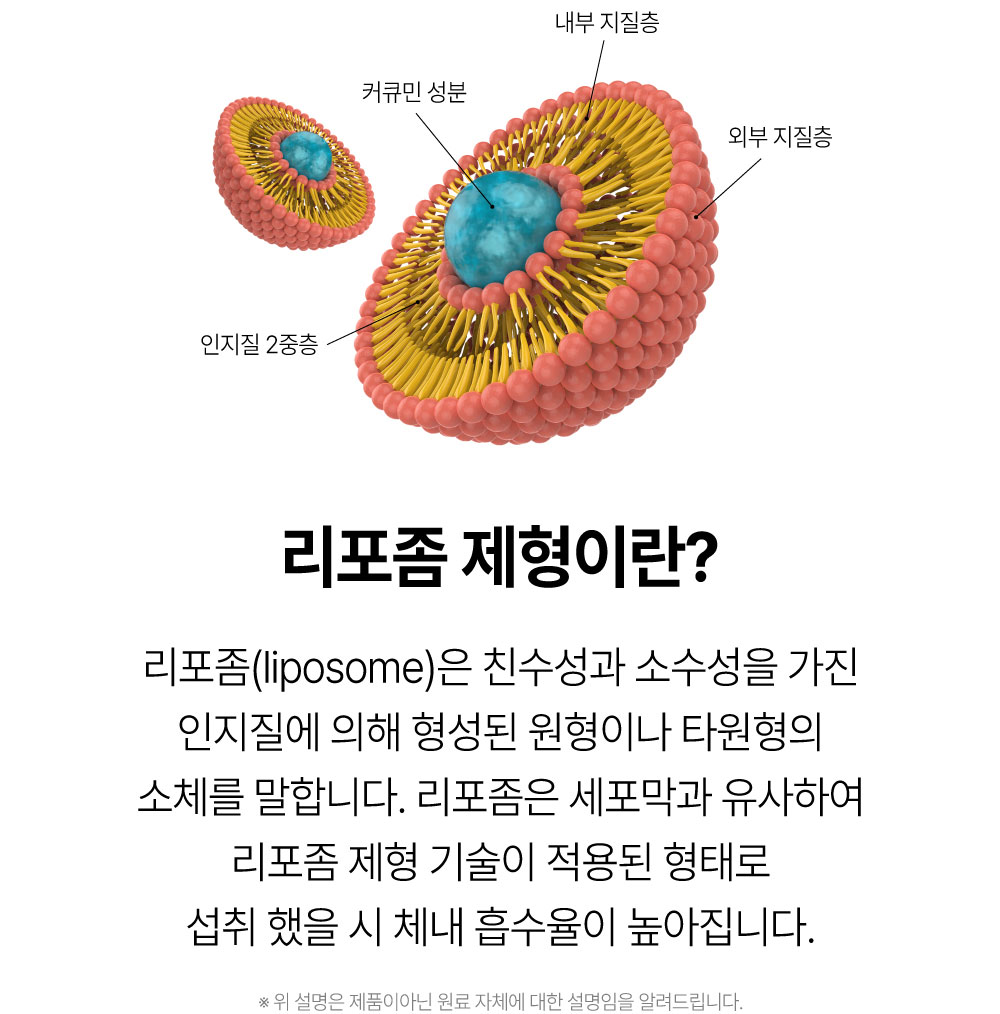 [의사약사공동 PICK] 메가 서해 비타민C3000 리포좀 커큐민 독일산 퀘르세틴 3중 분말 - 상세 이미지 4