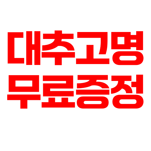 쌍화차 정읍 수제재료 한방차(100mlx25팩) 대추고명증정 - 상세 이미지 3