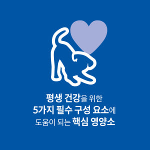 힐스 강아지사료 XS 미니백 퍼피 스몰 앤 미니 1.13kg 솔직 후기 | 실제 사용자 리뷰 총정리 - 상품 이미지 2