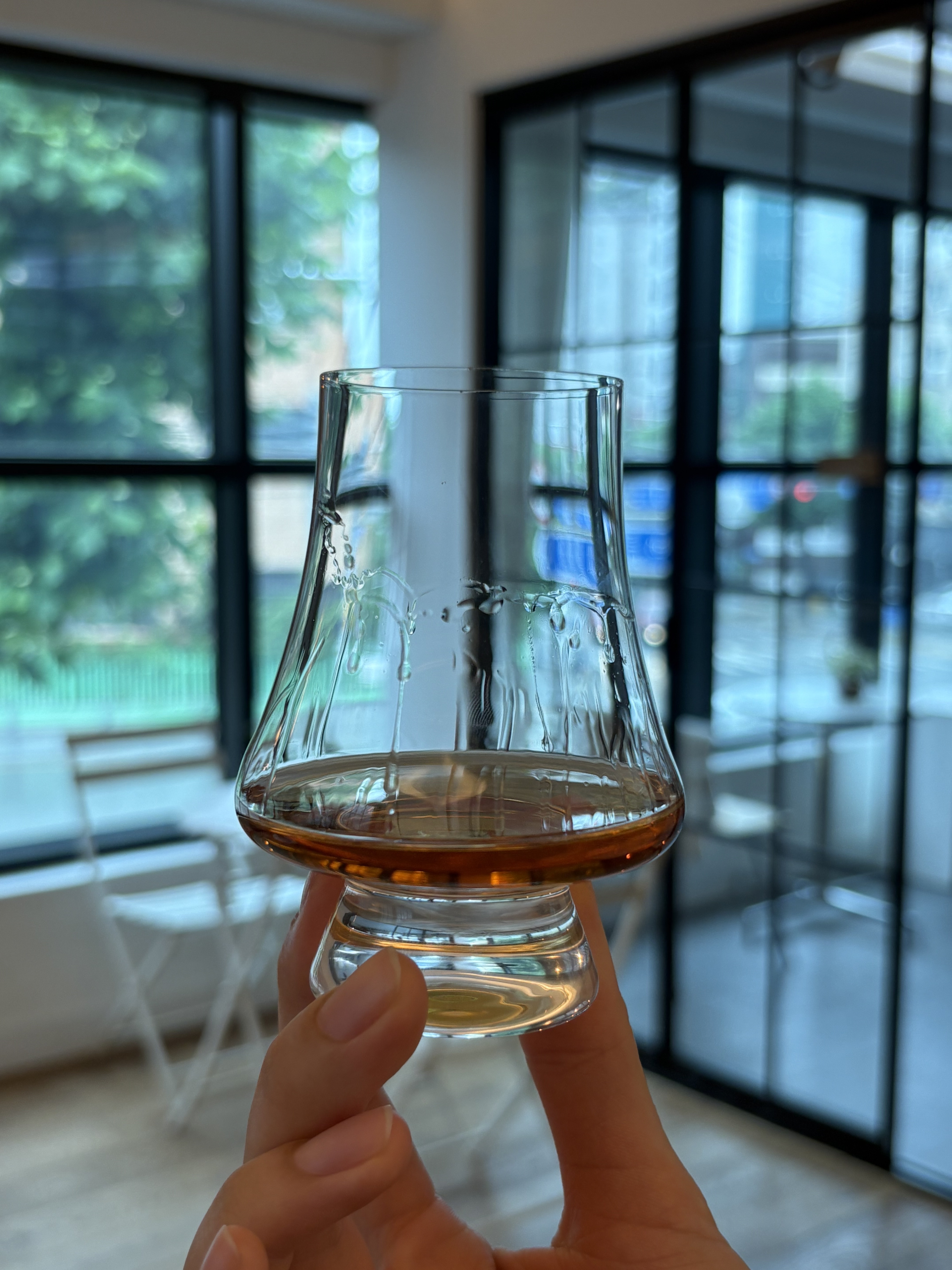 스탠다드 위스키잔 노징글라스 싱글몰트 니트잔 250ml