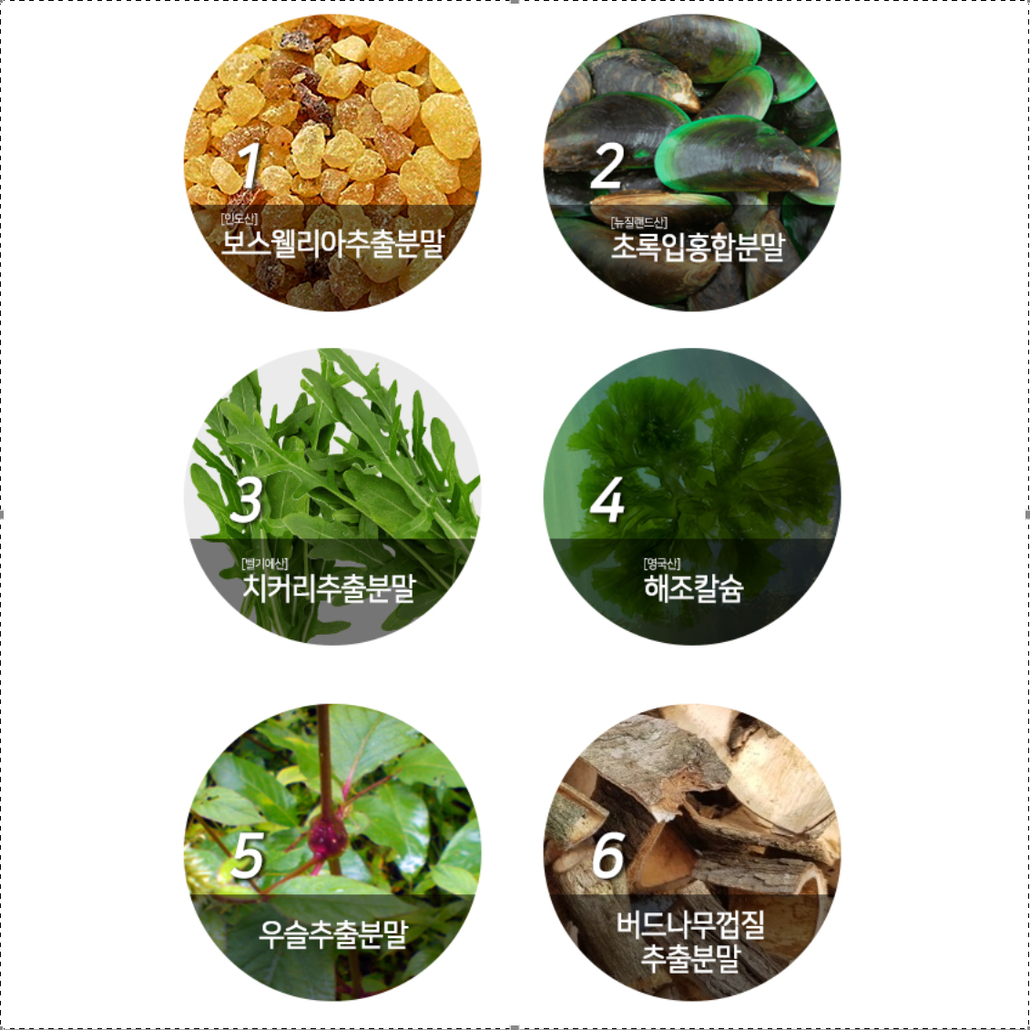 콘드로이친 상어 연골 분말 60정 3통 3개월분 콘드리친 황산 보스웰리아 이미지 6