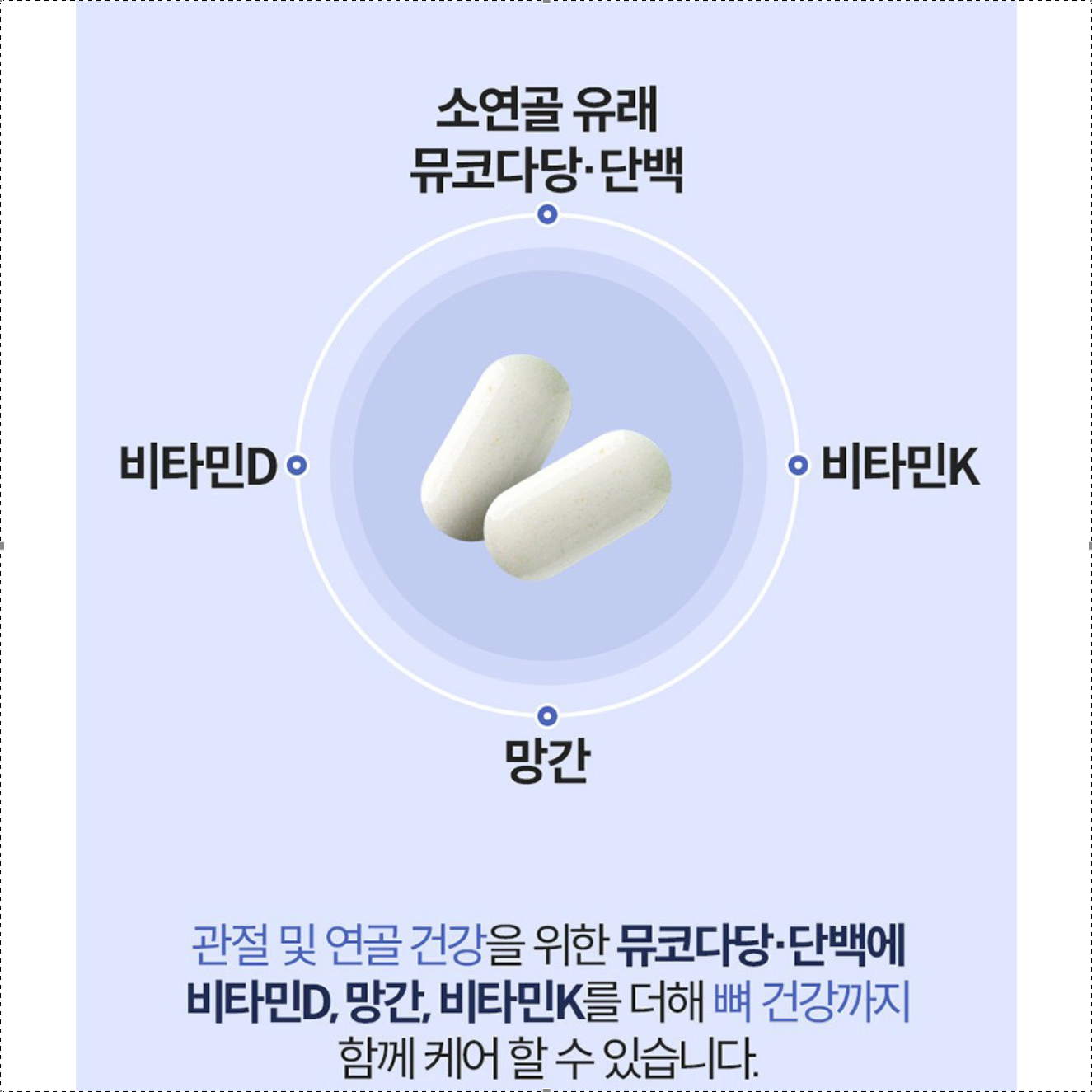종근당 관절연골엔 뮤코다당단백 콘드로이친 1200 플러스 소연골 보스웰리아 비타민D 비타민K 망간 콘드리친 - 상세 이미지 5