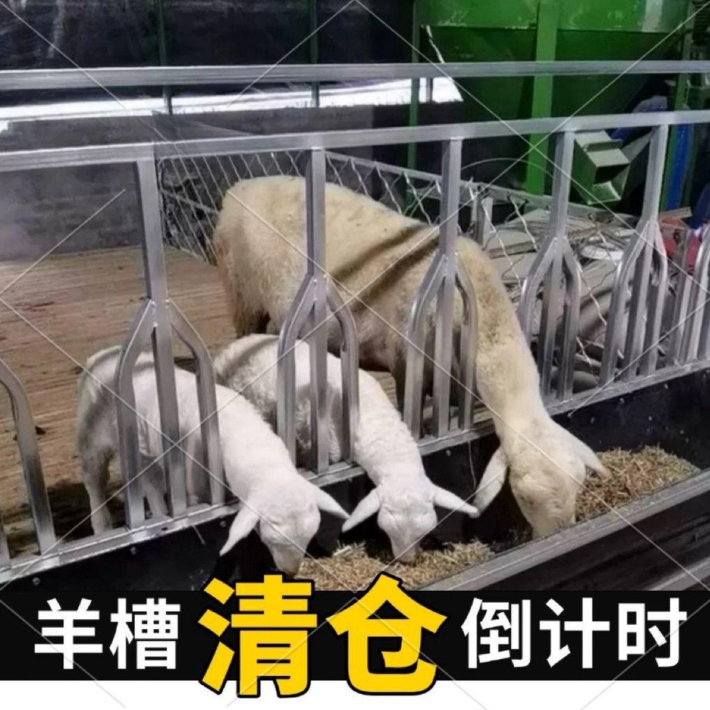 염소 밥통 먹이통 사육 급식기 새끼 닭 먹이 여물통 사료 배식통 - 상세 이미지 3