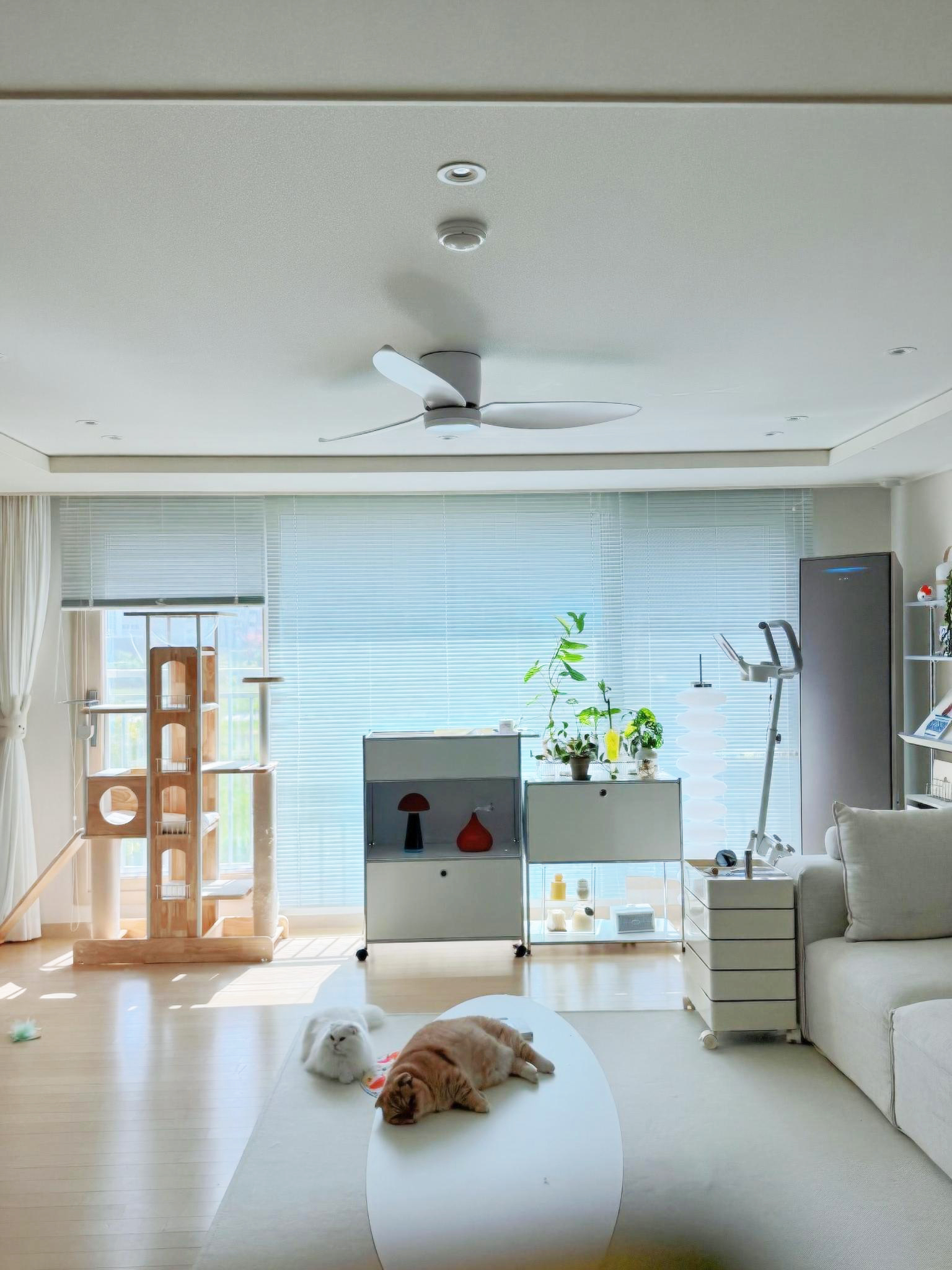 쭌뭉인플루언서 설치템 한국형 벨로스 IoT 스마트 실링팬 112cm(44인치) 132cm(52인치) 조명색상선택 AS2년 - 상품 이미지