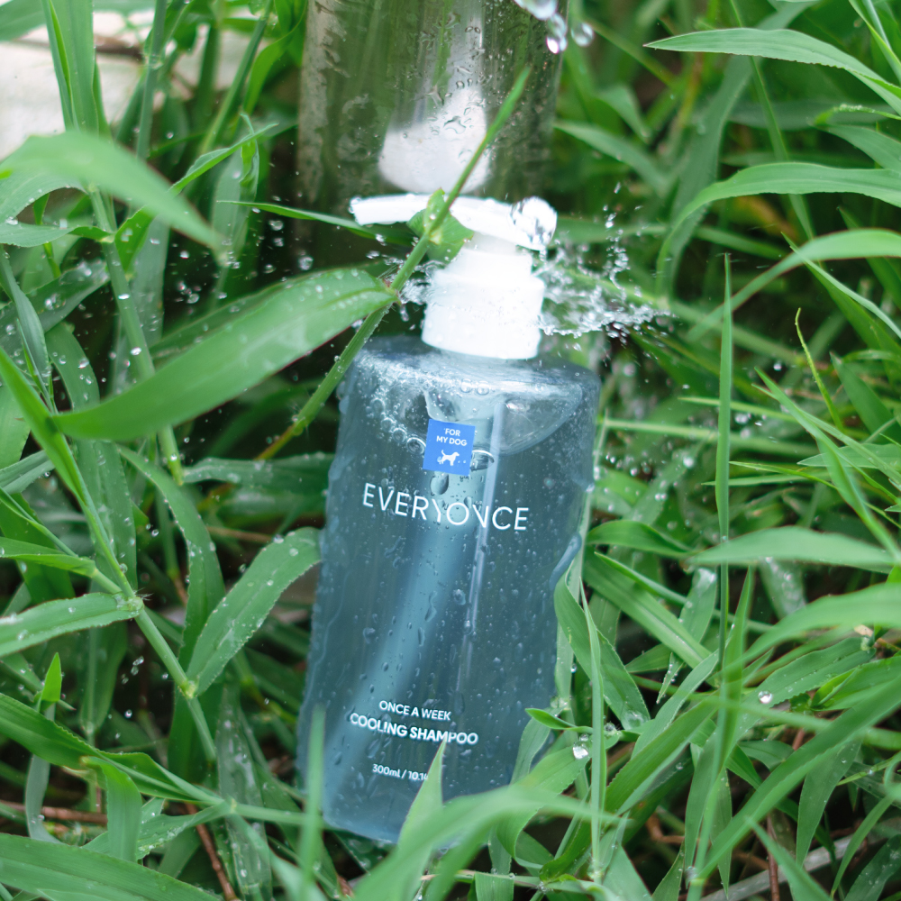 에브리원스 수분 쿨링 강아지샴푸 300ml - 상세 이미지 3
