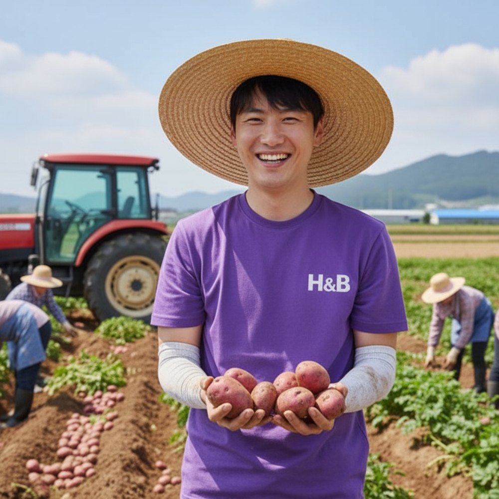 카스테라 홍감자 왕특 1.5kg, 1개 - 상품 이미지