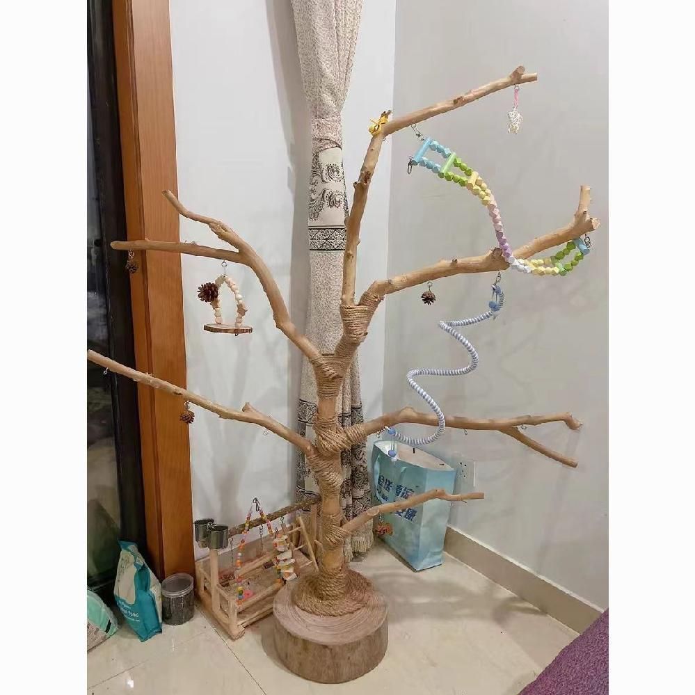 앵무새 스탠드 나무 놀이터 횟대 대형 사다리 나뭇가지 원목 애완조 등반 70cm - 상세 이미지 3