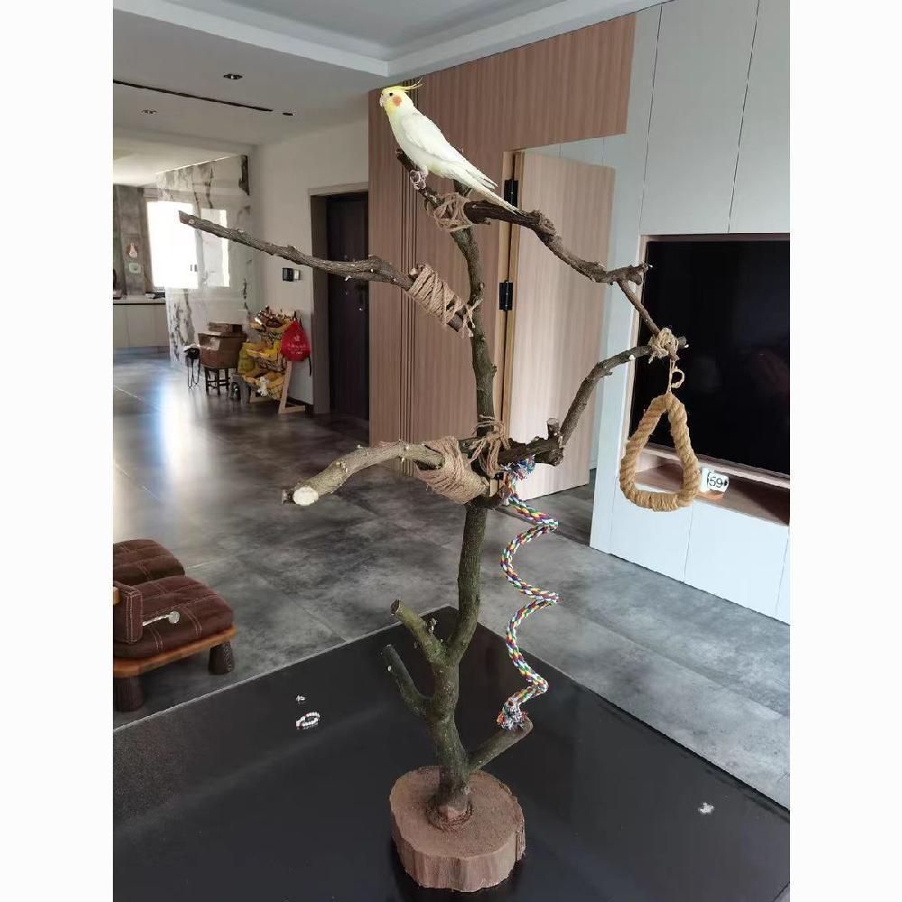 앵무새 스탠드 나무 놀이터 횟대 대형 사다리 나뭇가지 원목 애완조 등반 70cm - 상세 이미지 4