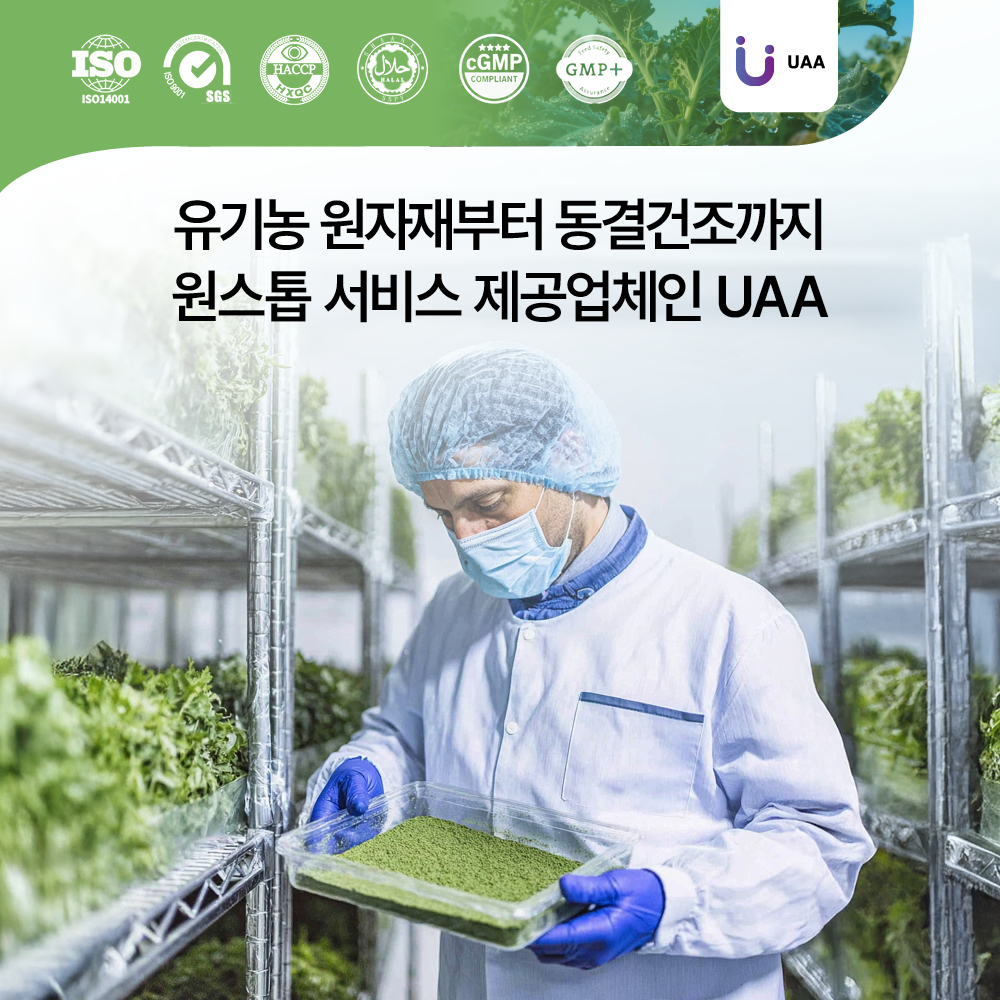 에너베라 유기농 컬리케일 동결건조 곱슬 케일 분말 60정 2개 이미지 8