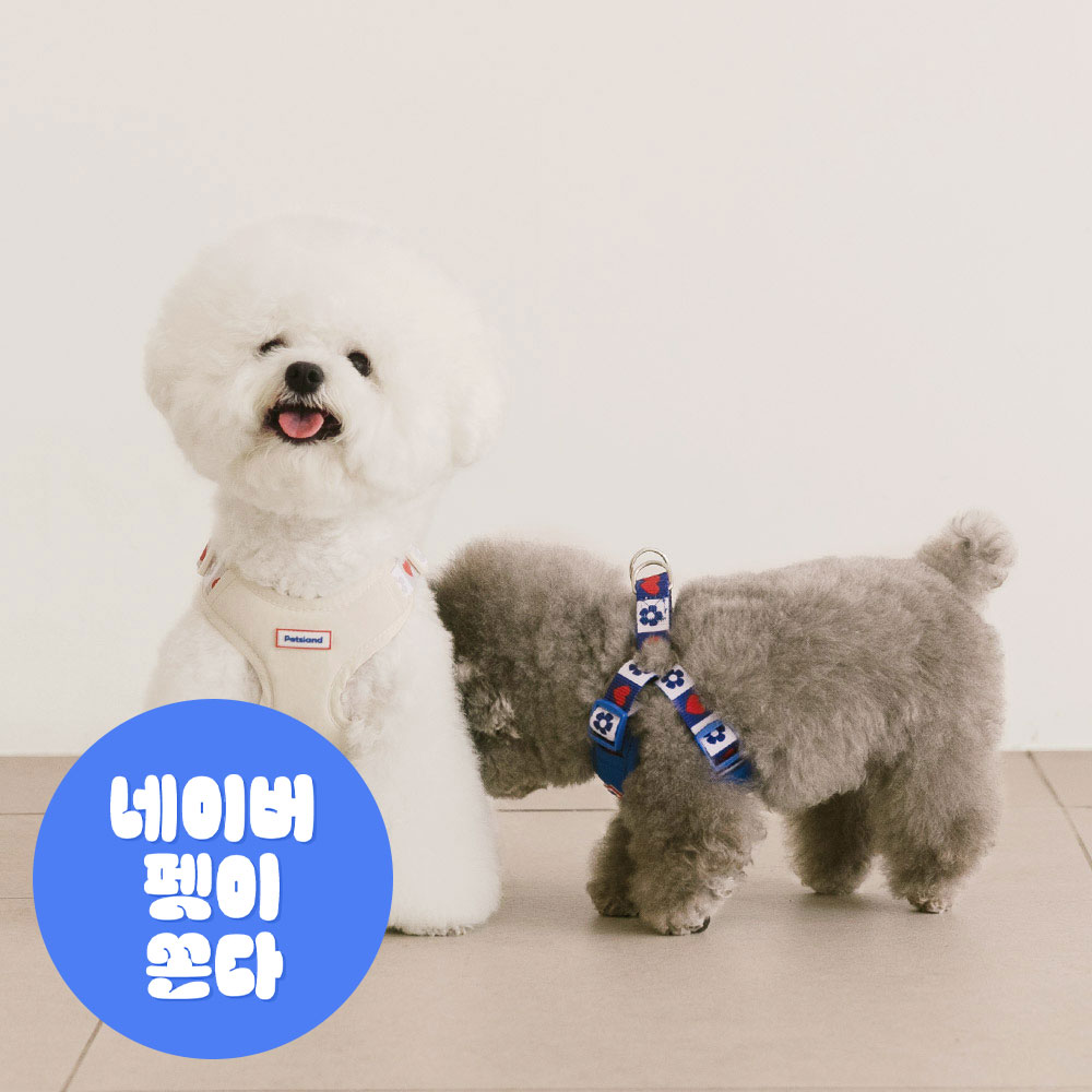 강아지 하네스 소형견 X형 H형 하네스 세트 하트팝