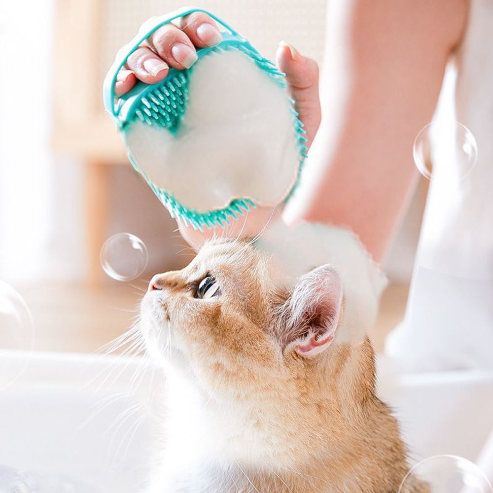 PET 강아지 고양이 샴푸 브러쉬 목욕 마사지 목욕솔 01샴푸브러쉬-블루 - 상품 이미지