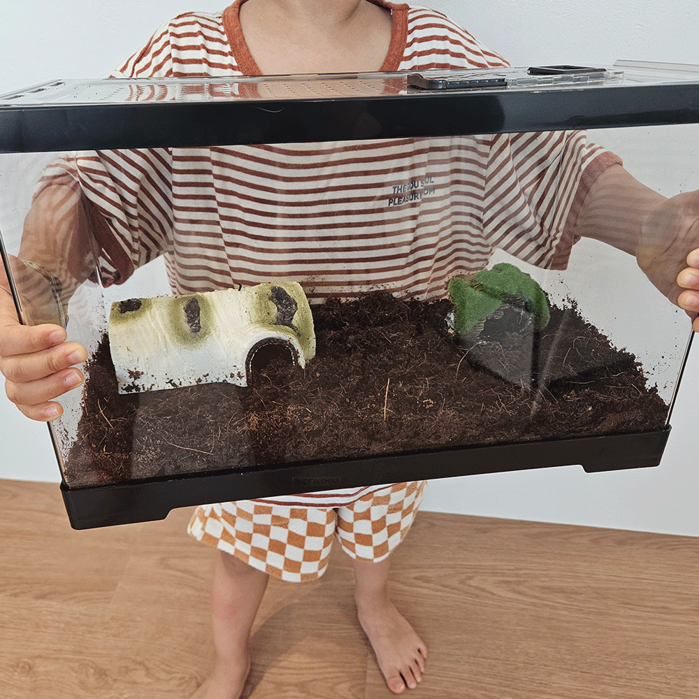 금와 아프리카왕달팽이 키우기 도둑게 애완 달팽이 집 사육장 소라게 키우기... 솔직 후기 | 실제 사용자 리뷰 총정리 - 대표 이미지