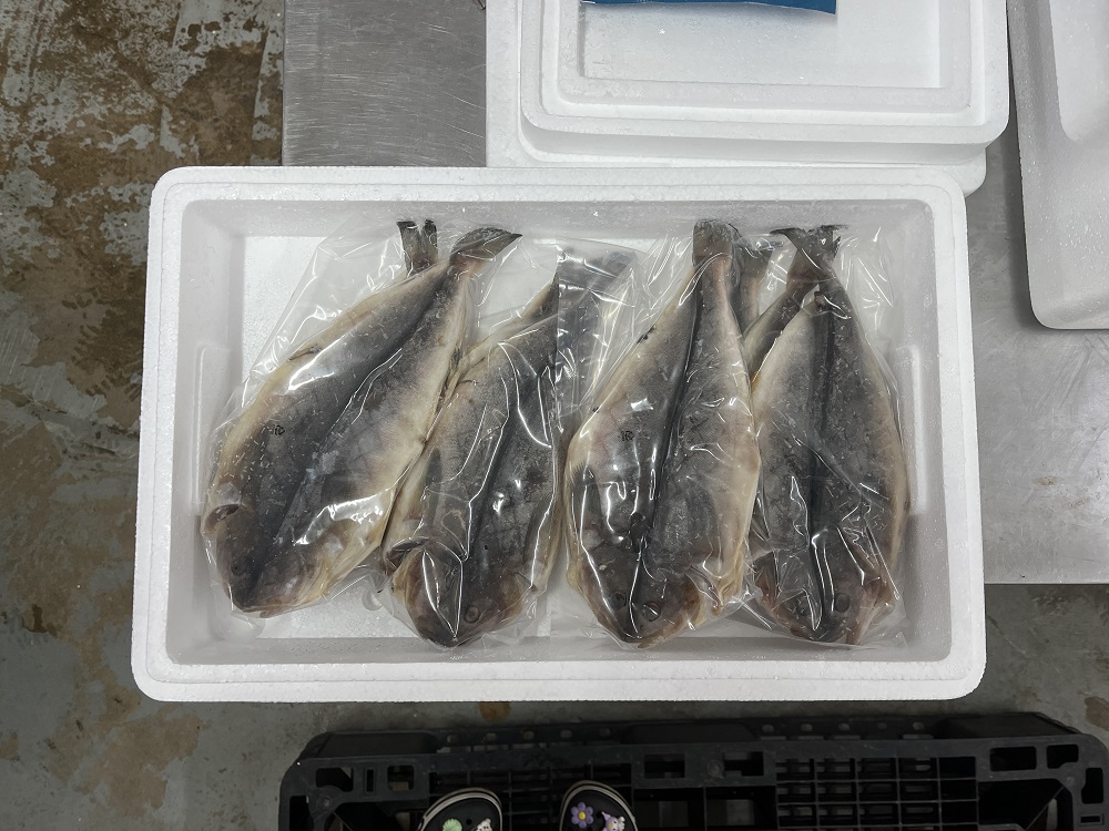 임연수 손질 이면수 강원도 동해안 임연수어 2kg - 상세 이미지 5