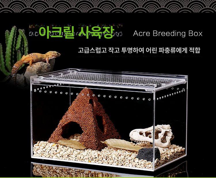 곤충 사육 상자 테라리움 도마뱀 관찰채집통 양서류 아크릴 25x15x15 - 상세 이미지 4