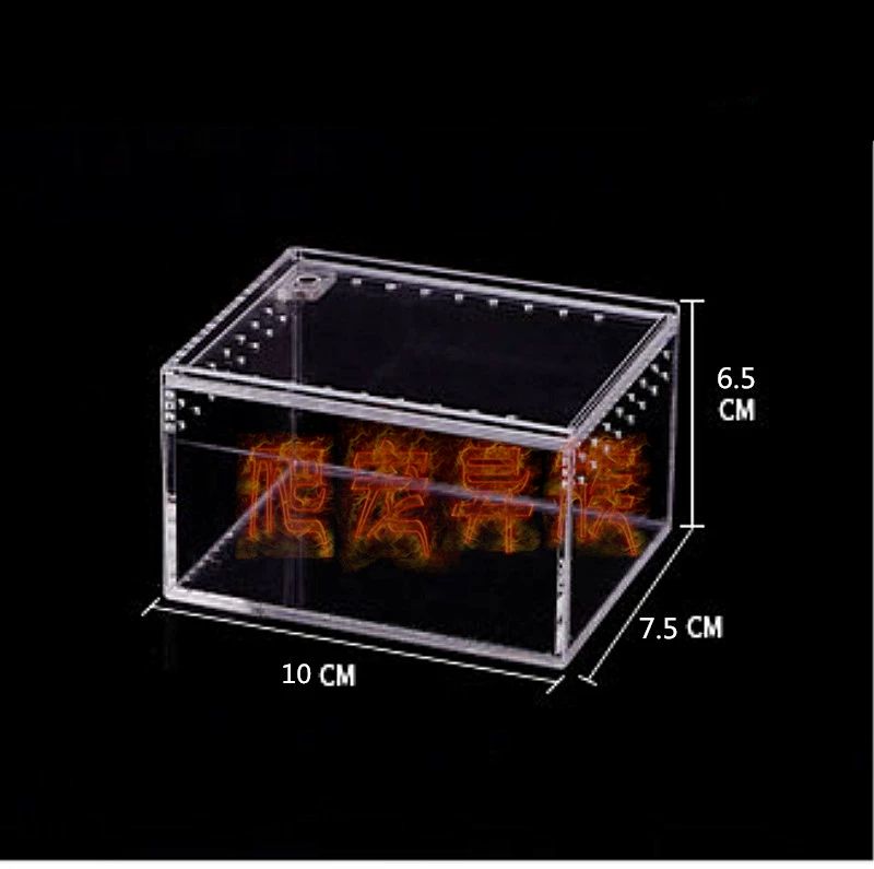 곤충 사육 상자 테라리움 도마뱀 관찰채집통 양서류 아크릴 25x15x15 - 상세 이미지 2