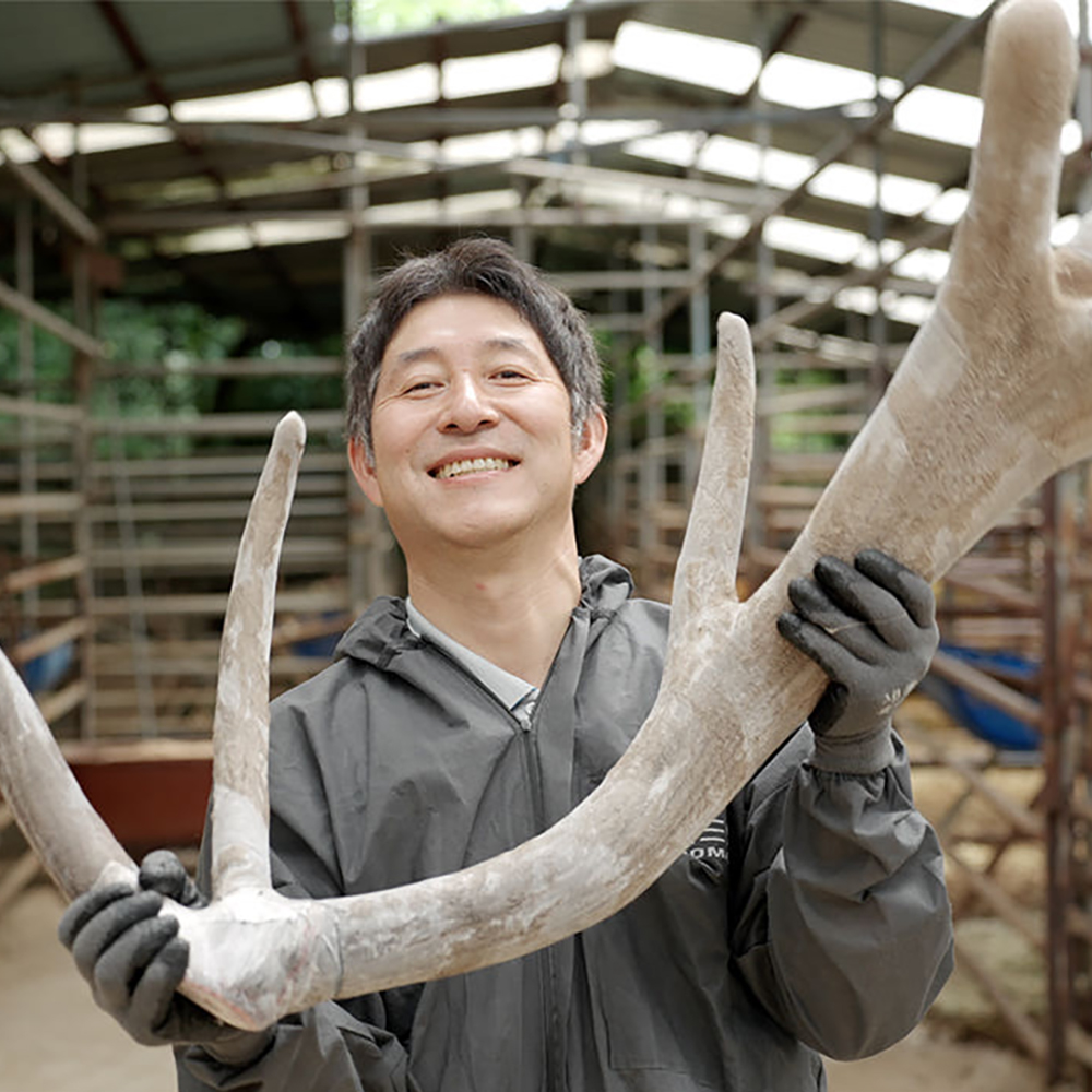 해담녹용 러시아계 엘크사슴 녹용 진액 건강즙 7.2kg 3달분