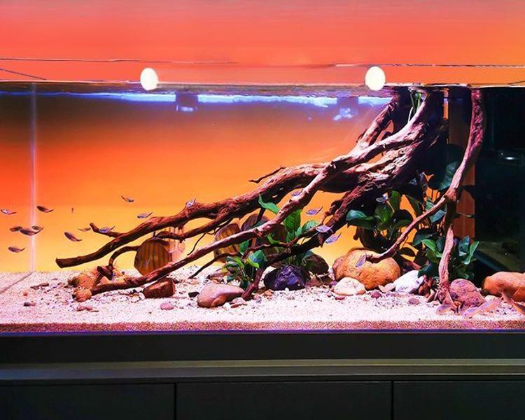 어항 백스크린 LED 산호 배경 뒷배경 백라이트 600x360RGBW+APP 11W - 상품 이미지