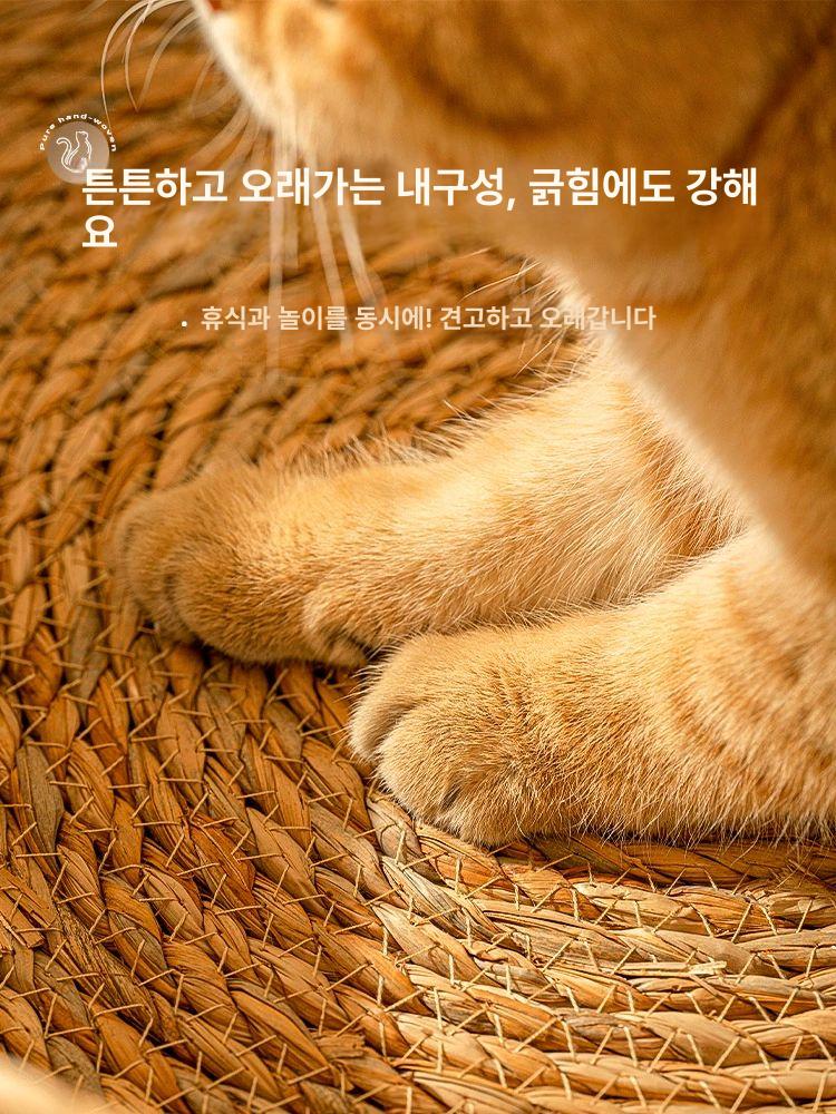 고양이 라탄 바구니 소쿠리 빈려동물 펫하우스 강아지방석집 라탄 고양이 귀 둥지+밀키 화이트 A L 7.5kg미만의여러반려동물에적합 . - 상세 이미지 4